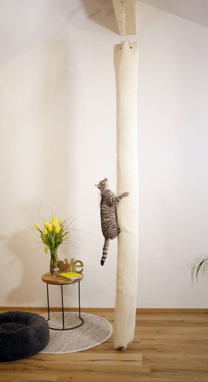 KERBL Klettersack Climber für Katzen